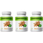 MycoMedica Cordyceps CS-4 3 x 90 kapslí – Hledejceny.cz