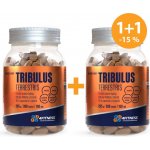 4fitness.cz Tribulus terrestris 625 600 tablet – Hledejceny.cz