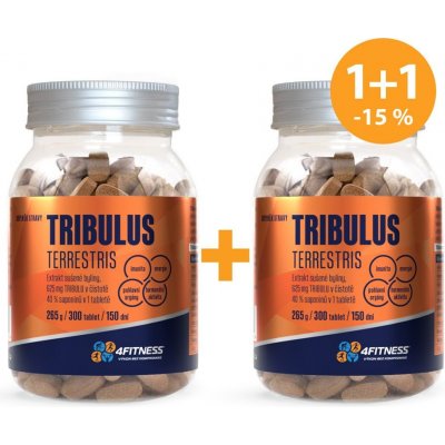 4fitness.cz Tribulus terrestris 625 600 tablet – Hledejceny.cz