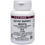 Zázvor sušený extrakt Ganjiang 20g Pragon – Hledejceny.cz