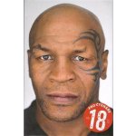 Nakladatelství SLOVART s. r. o. Mike Tyson - Čistá pravda – Hledejceny.cz