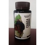 Mushroom Pharmacy ČAGA 120 tablet – Hledejceny.cz