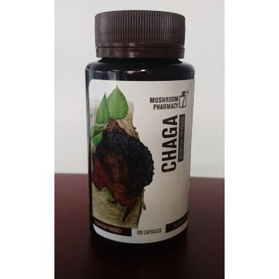 Mushroom Pharmacy ČAGA 120 tablet – Hledejceny.cz