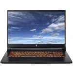 Acer Nitro V 17 AI NH.QYTEC.005 – Hledejceny.cz