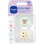 Mam dudlík Perfect Night Mint/ Grey 2 ks – Zboží Dáma