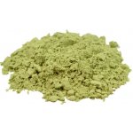 Salvia Paradise Alfalfa Mladá zelená vojtěška 50 g – Hledejceny.cz
