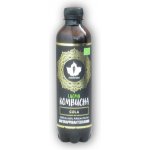 Puhdistamo Kombucha bio cola 370 ml – Zboží Dáma