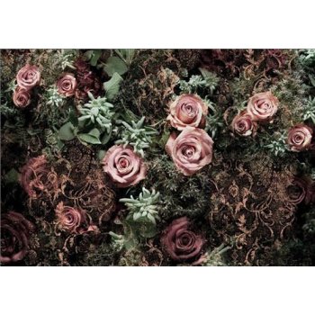 Komar 8-980 Fototapeta Samet růže 8 dílná Velvet rozměry 368 x 254 cm