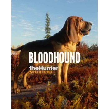 theHunter: Call of the Wild - Bloodhound