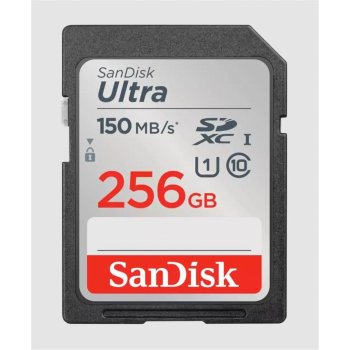 SanDisk SDXC Class 10 256 GB SDSDUNC-256G-GN6IN