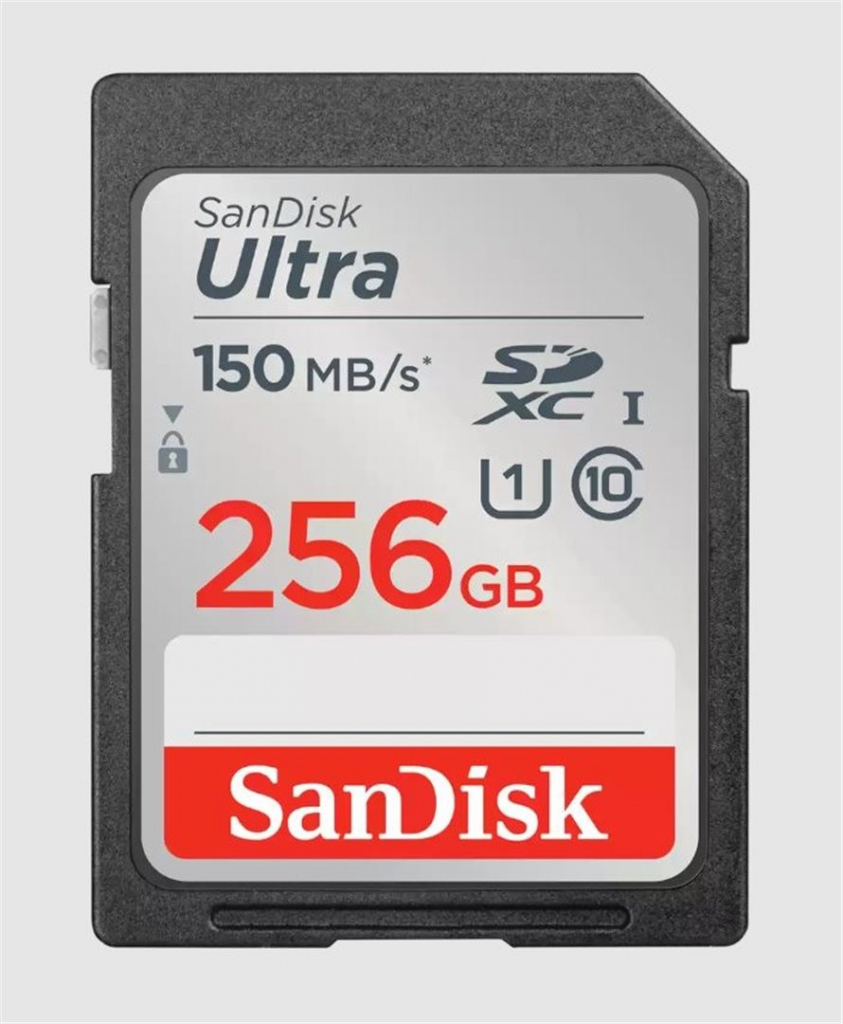 SanDisk SDXC Class 10 256 GB SDSDUNC-256G-GN6IN