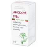 Dědek kořenář Novy Jahodová směs 100 ml – Hledejceny.cz