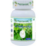 Planet Ayurveda SHANKHPUSHPI 500 mg 60 kapslí – Hledejceny.cz