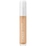 Clinique Lehký korektor Even Better All Over Concealer + Eraser 01 WN Flax 6 ml – Sleviste.cz