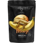 Gecko Nutrition Kaše pro pagekony Mango/banán 250 g – Zboží Mobilmania