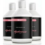 KolagenDrink Hyaluronic 99-denní kúra 250 mg, 3×500 ml – Hledejceny.cz