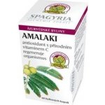 Organic India Amalaki antioxidant s přírodním vitaminem C 60 kapslí – Hledejceny.cz