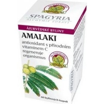 Organic India Amalaki antioxidant s přírodním vitaminem C 60 kapslí