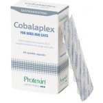 Protexin Cobalaplex 60 ks – Zboží Mobilmania