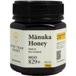 MoreThanHoney Novozélandský květový med MANUKA MGO 829+ 250g – Zboží Dáma