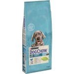 Purina Dog Chow Puppy Large breed Turkey 2 x 14 kg – Zboží Mobilmania