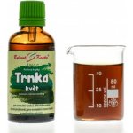 Bylinné kapky tinktura Trnka květ 50 ml – Hledejceny.cz