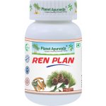 Planet Ayurveda Ren Plan ledviny extrakt 500 mg 60 kapslí – Hledejceny.cz