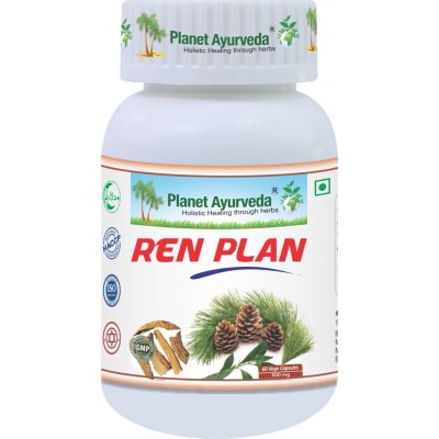 Planet Ayurveda Ren Plan ledviny extrakt 500 mg 60 kapslí – Hledejceny.cz