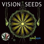 Vision Seeds AK-49 semena neobsahují THC 3 ks – Zboží Dáma