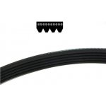 FERM řemínek k FP-900 05406545 | Zboží Auto