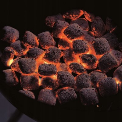 Weber 17590 Grilovací brikety, 4 kg – Zboží Dáma