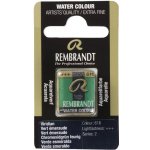 Rembrandt mistrovská akvarelová barva půlpánvička 616 Viridian – Hledejceny.cz