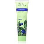 Ecodenta Fresh Breath Blueberry 100 ml – Hledejceny.cz