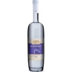 Fleret Tradice Slivovice 40% 1 l (holá láhev) – Sleviste.cz