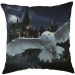 Jerry Fabrics Polštář Harry Potter Hogwarts 01 40x40 – Hledejceny.cz