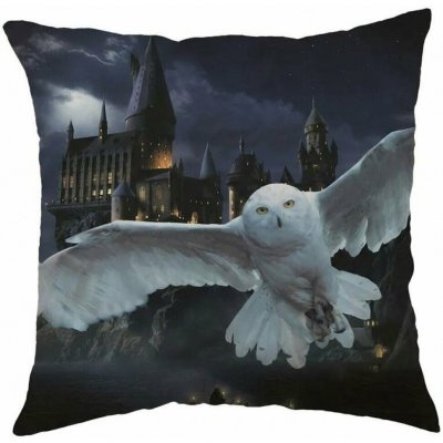 Jerry Fabrics Polštář Harry Potter Hogwarts 01 40x40 – Hledejceny.cz