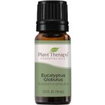 Plant Therapy Eucalyptus Globulus Esenciální olej 10 ml – Hledejceny.cz