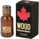 Dsquared2 Wood toaletní voda pánská 100 ml – Sleviste.cz