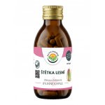 Salvia Paradise Štětka lesní 120 kapslí – Hledejceny.cz