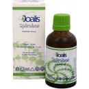 Joalis Spirobor borelióza 50 ml