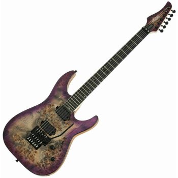 Schecter C6 PRO