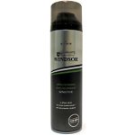 Windsor Sensitive Men pěna na holení 200 ml – Zbozi.Blesk.cz