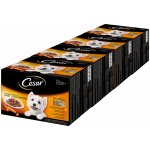 Cesar Feines Favoriten v omáčce 96 x 100 g – Sleviste.cz