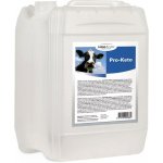 Trouw Nutrition Biofaktory FOS ProKeto Farm-O-San 5 l – Hledejceny.cz