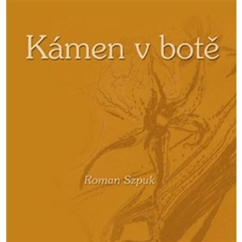 Kámen v botě - Roman Szpuk