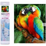 Norimpex Diamantové malování Barevní papoušci 30 x 40 cm – Sleviste.cz