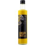 GingerShot Ginger Shot 0,5 l – Zboží Dáma