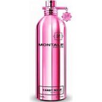 Montale Candy Rose parfémovaná voda dámská 100 ml – Hledejceny.cz