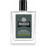 Proraso Cypress and Vetyver balzám po holení 100 ml – Zboží Dáma Proraso Cypress and Vetyver balzám po holení 100 ml – Zboží Dáma