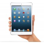 Apple iPad Mini 16GB WiFi md531sl/a